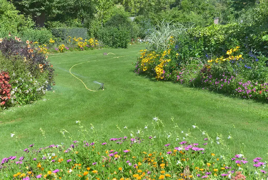 Gepflegter Privatgarten mit Staudenrabatten und Rasenfläche im Sommer – Gartengestaltung Ergebnis Lüneburg Bloomwerk